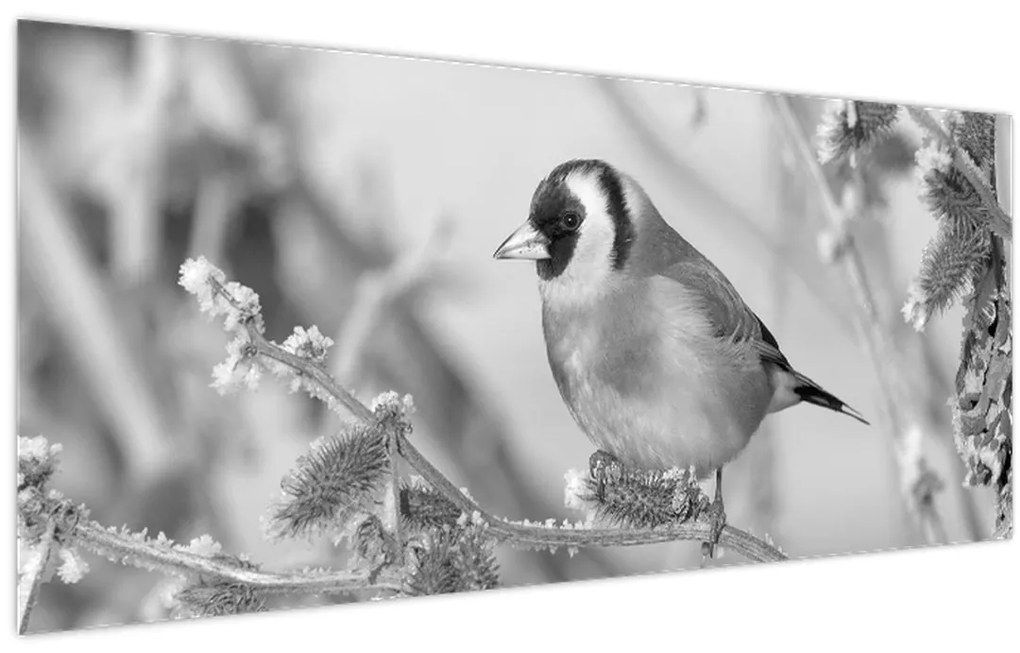 Obraz - Vtáčik v zime (120x50 cm)