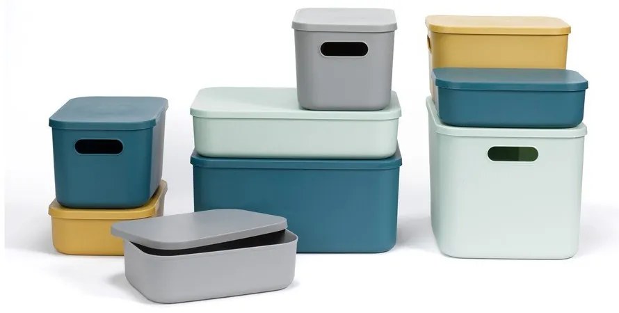 Sivý plastový úložný box s vekom 24,5x18x15 cm – Homéa