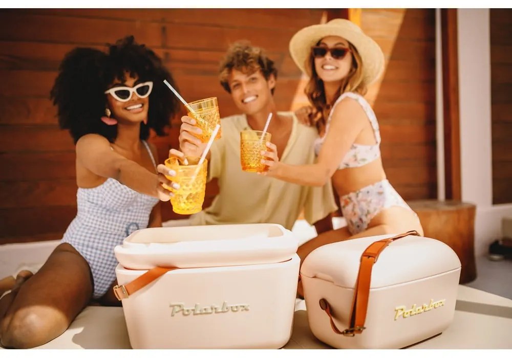 Chladiaci box staroružový 12 l Classic – Polarbox