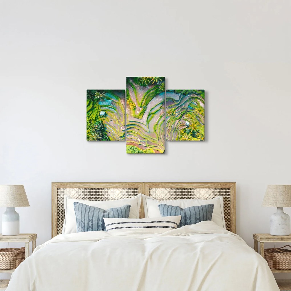 Obraz ryžových polí z vtáčej perspektívy (90x60 cm)