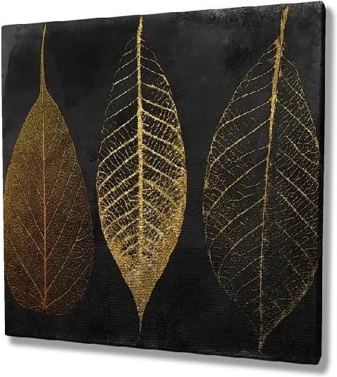 Obraz na plátne Autumn Leaves, 45 × 45 cm