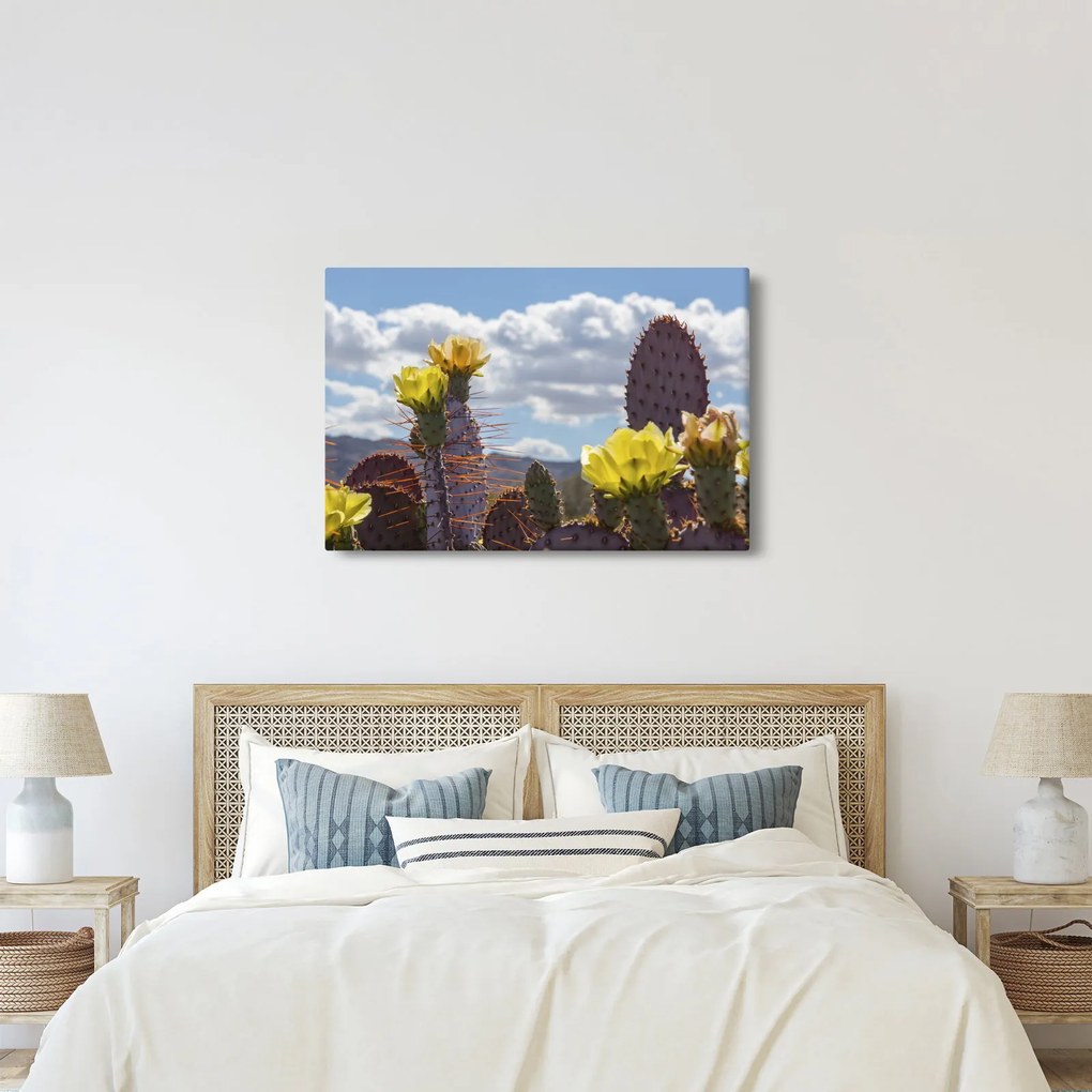 Obraz opuncie (90x60 cm)