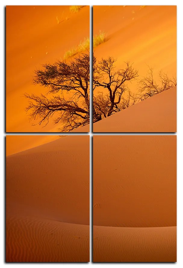 Obraz na plátne - Červené piesočné duny - obdĺžnik 7133E (120x80 cm)