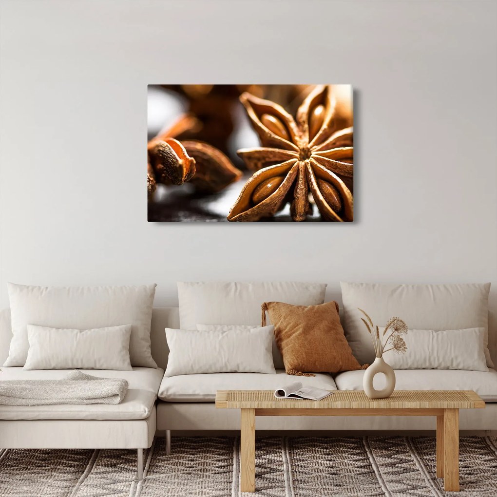 Obraz - Aníz (90x60 cm)