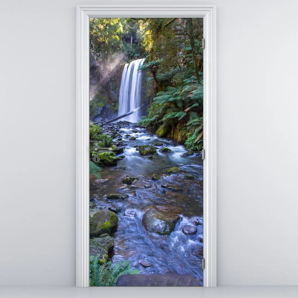 Fototapeta na dvere - Austrálsky dažďový les (95x205cm)