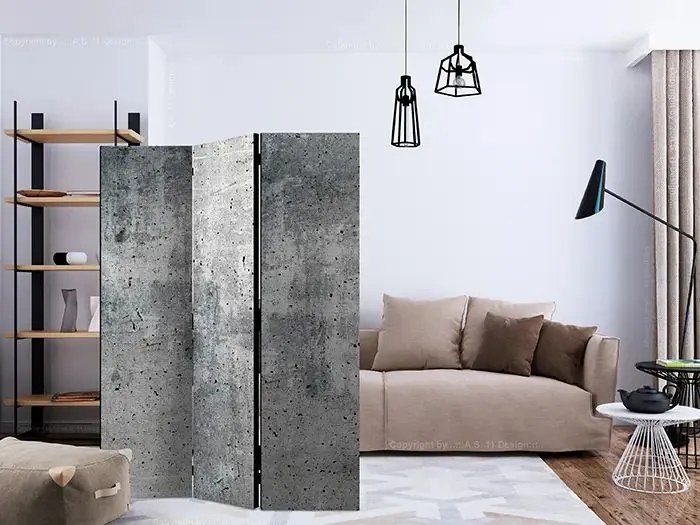 Paraván - Fresh Concrete [Room Dividers] Veľkosť: 135x172, Verzia: Jednostranný