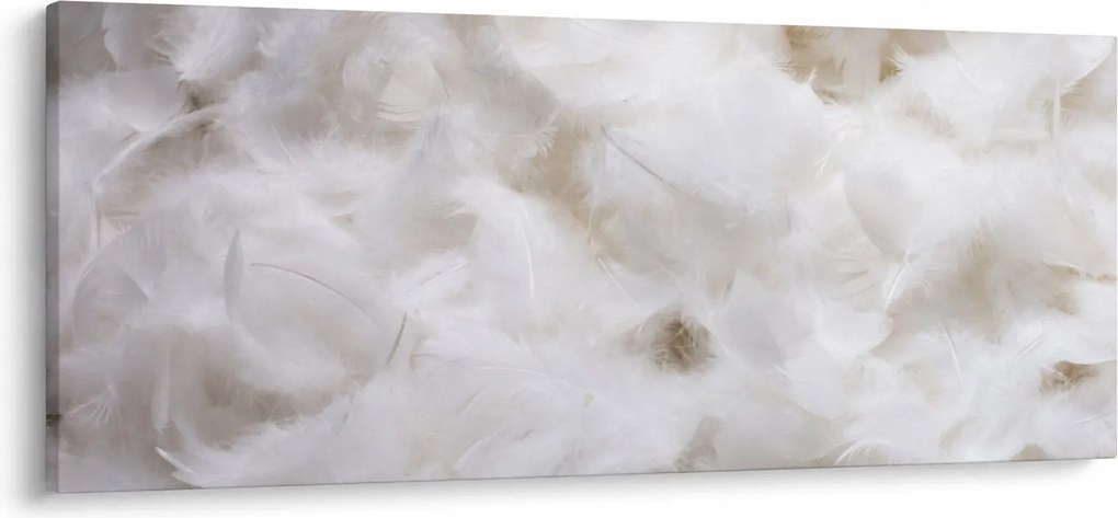 Obraz - Biele perie (120x50 cm)