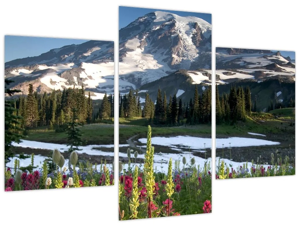 Obraz - Mount Rainier (90x60 cm)