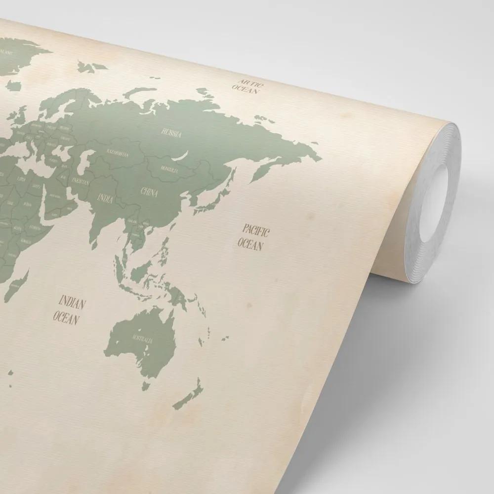 Samolepiaca tapeta decentná mapa sveta - 225x150