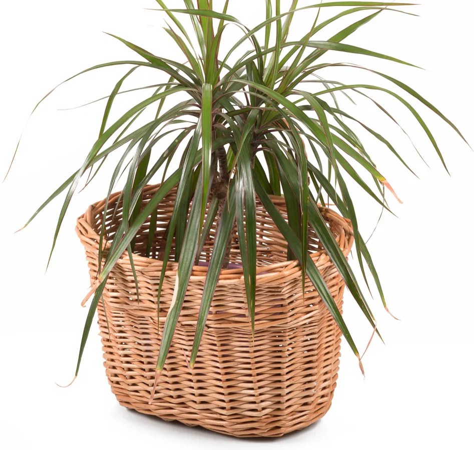 Prútený kôš Conort I.š. 23 x hl. 17 x v. 17(cm)