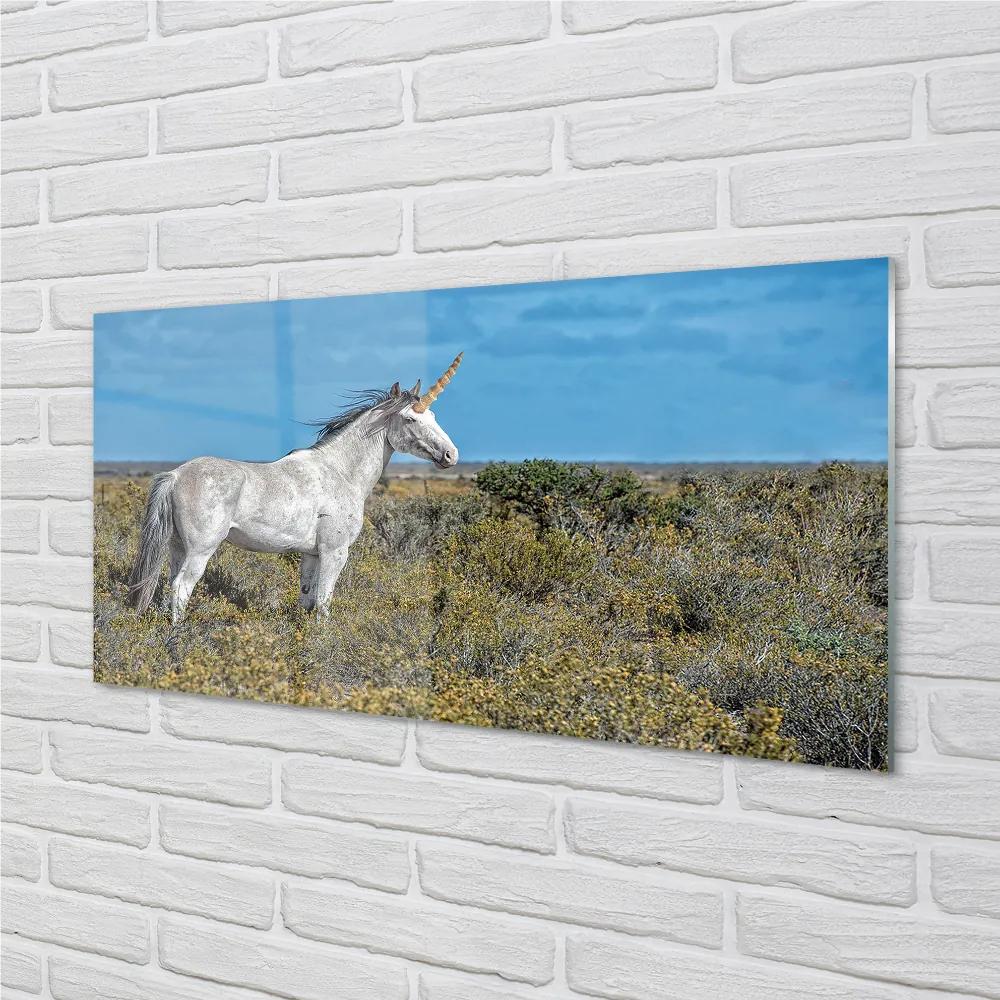 Obraz na akrylátovom skle Unicorn golf 100x50 cm