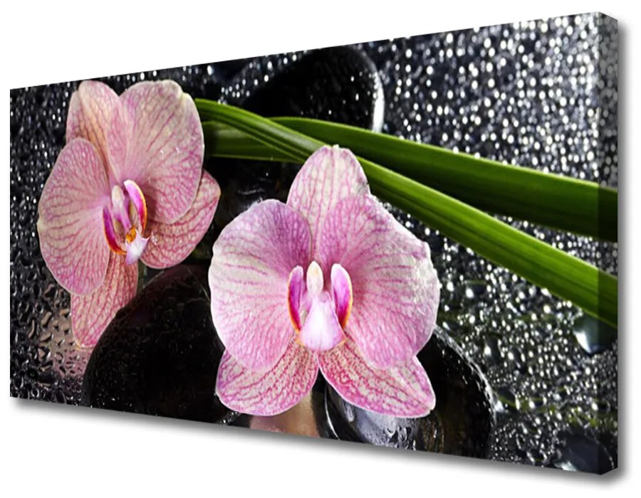 Obraz Canvas Kvety orchidea kamene zen 120x60 cm