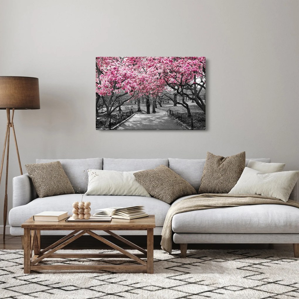 Obraz stromov Magnólie (90x60 cm)