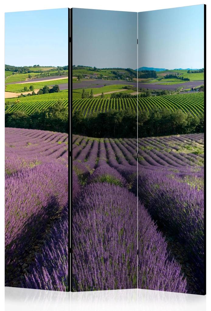 Artgeist Paraván - Lavender fields [Room Dividers]