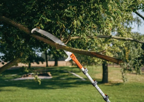 Píla s hákom na teleskopickej rukoväti 3m