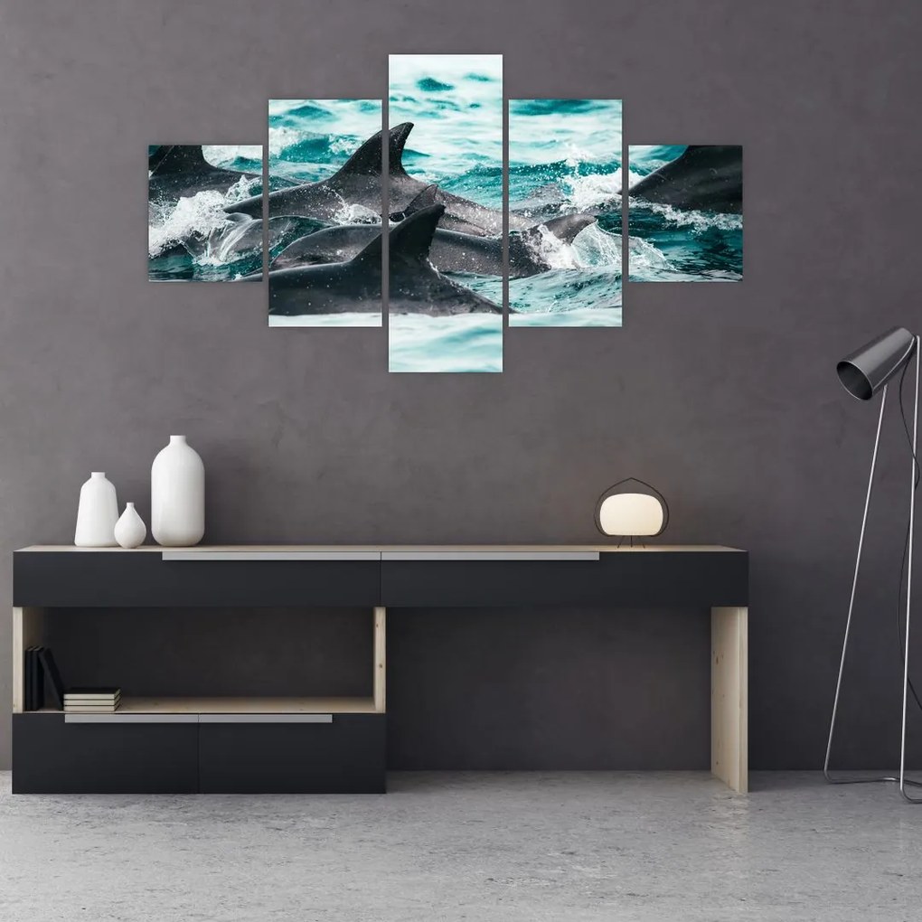 Obraz - Delfíny v oceáne (125x70 cm), 40 ďalších rozmerov