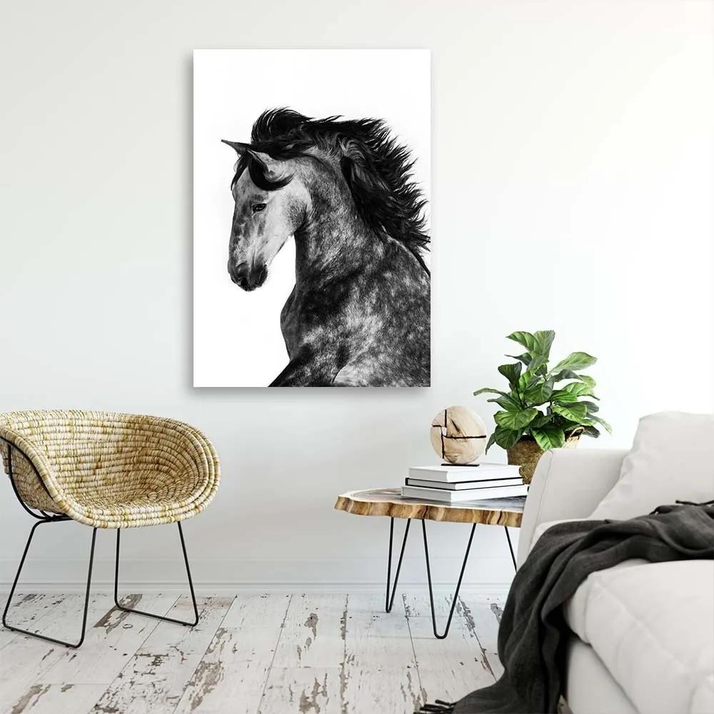 Obraz na plátně Kůň Zvířata Galloping - 60x90 cm