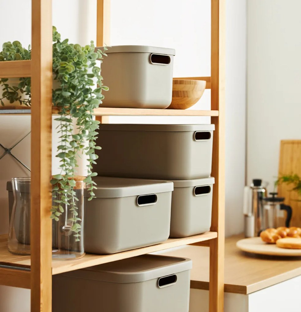 Rotho Úložný box s vekom, 12 l, matná biela ALBU LIGHT, 40 x 24 x 18 cm