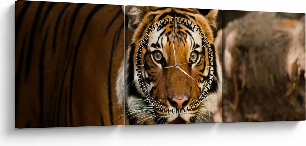 Obraz tigra (s hodinami) (90x30 cm)