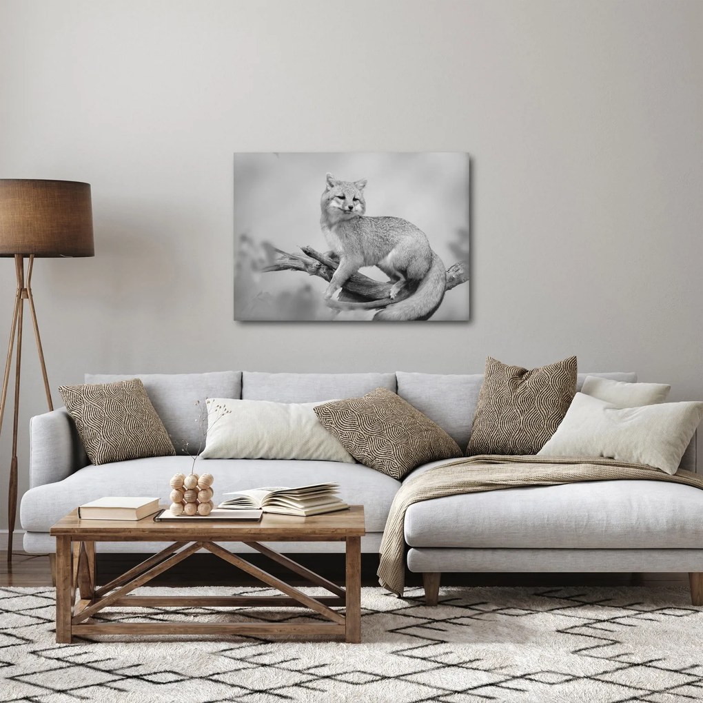 Obraz - Líška šedá (70x50 cm)