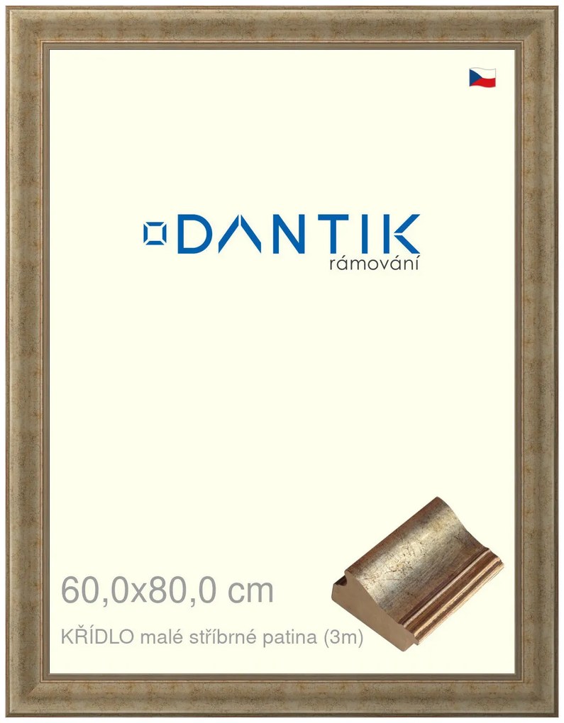 DANTIK rám na obraz 60x80 | KŘÍDLO malé stříbrné patina (Plexi Čiré)