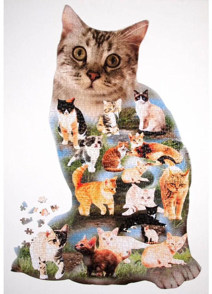 Puzzle mačky 60 x 91 cm