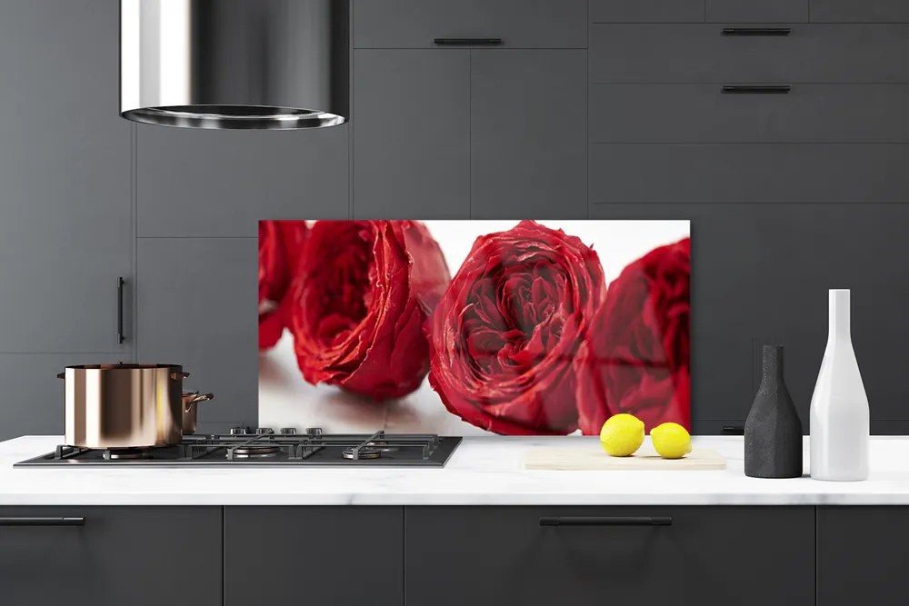 Sklenený obklad Do kuchyne Ruže kvety rastlina 120x60 cm