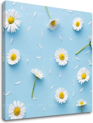 Obraz na stenu BIELE KVETY_163-12