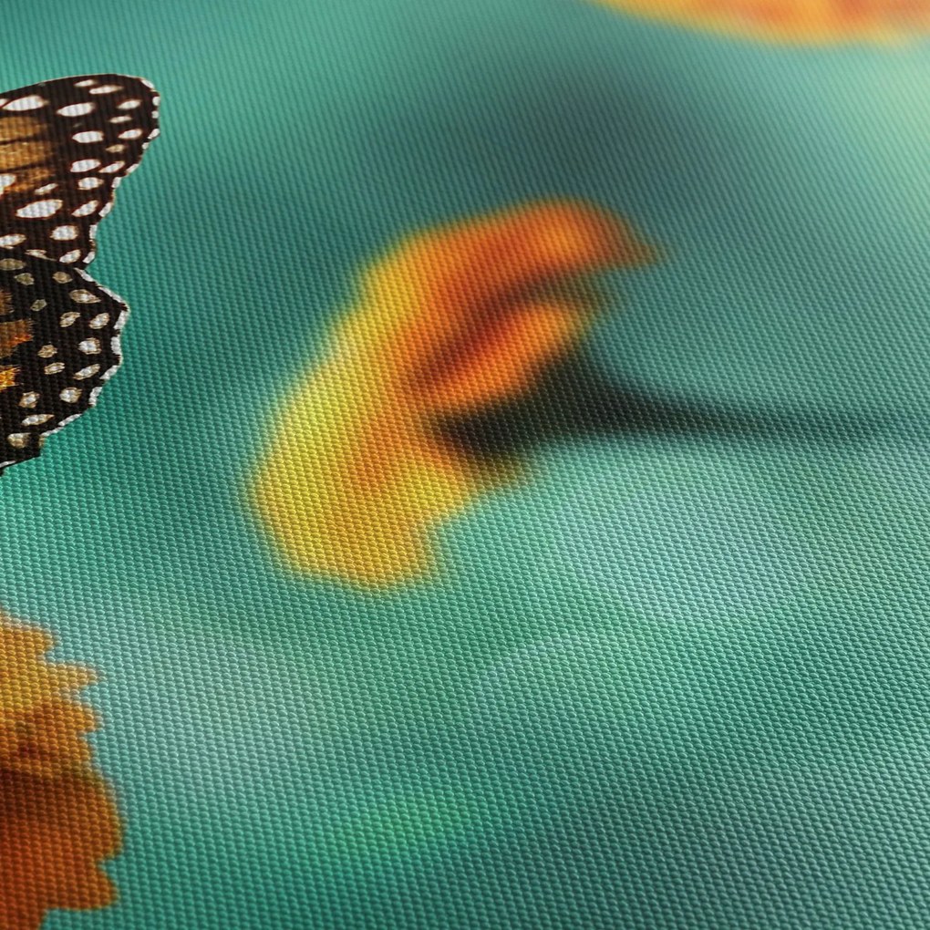 Obraz motýľa (120x50 cm)