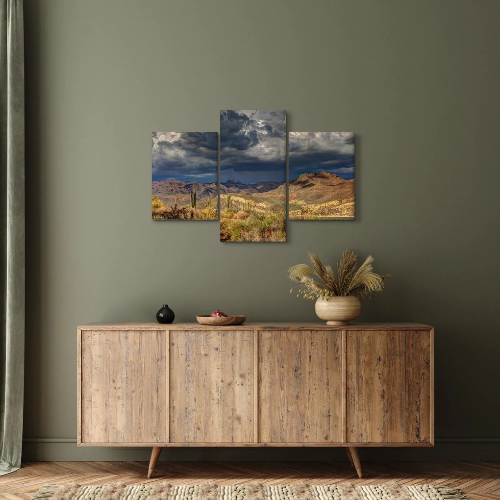 Obraz - kaktusy v prírode (90x60 cm)