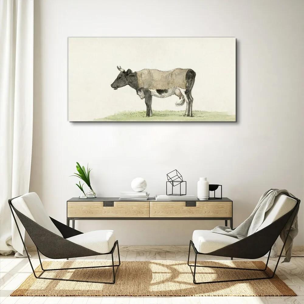 Obraz na plátne krava