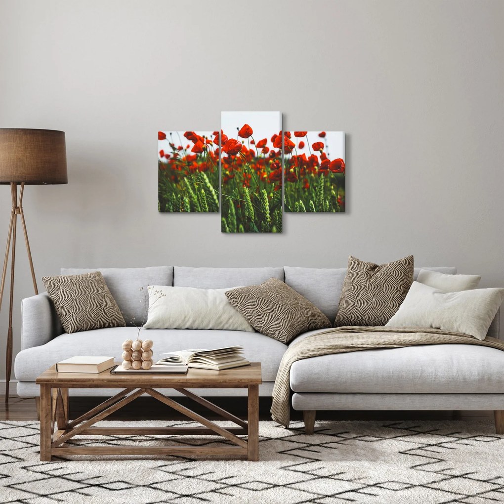 Obraz vlčích makov vo vetre (90x60 cm)