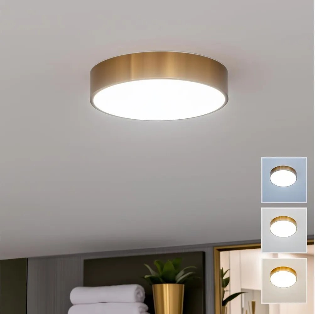 Brilagi - LED kúpeľňové stropné svietidlo POOL LED/24W/230V pr. 30 cm IP54 bronz