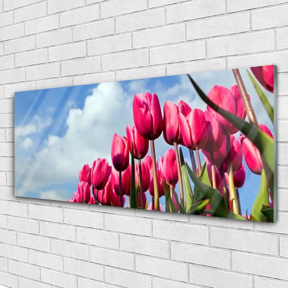 Obraz na akrylátovom skle Tulipán 125x50 cm