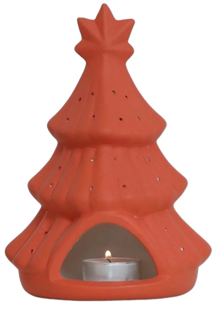 Pine - Orange