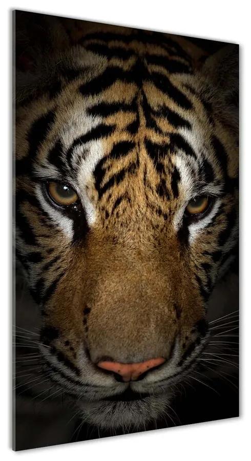Foto obraz akrylové sklo Tiger pl-oa-70x140-f-69917271