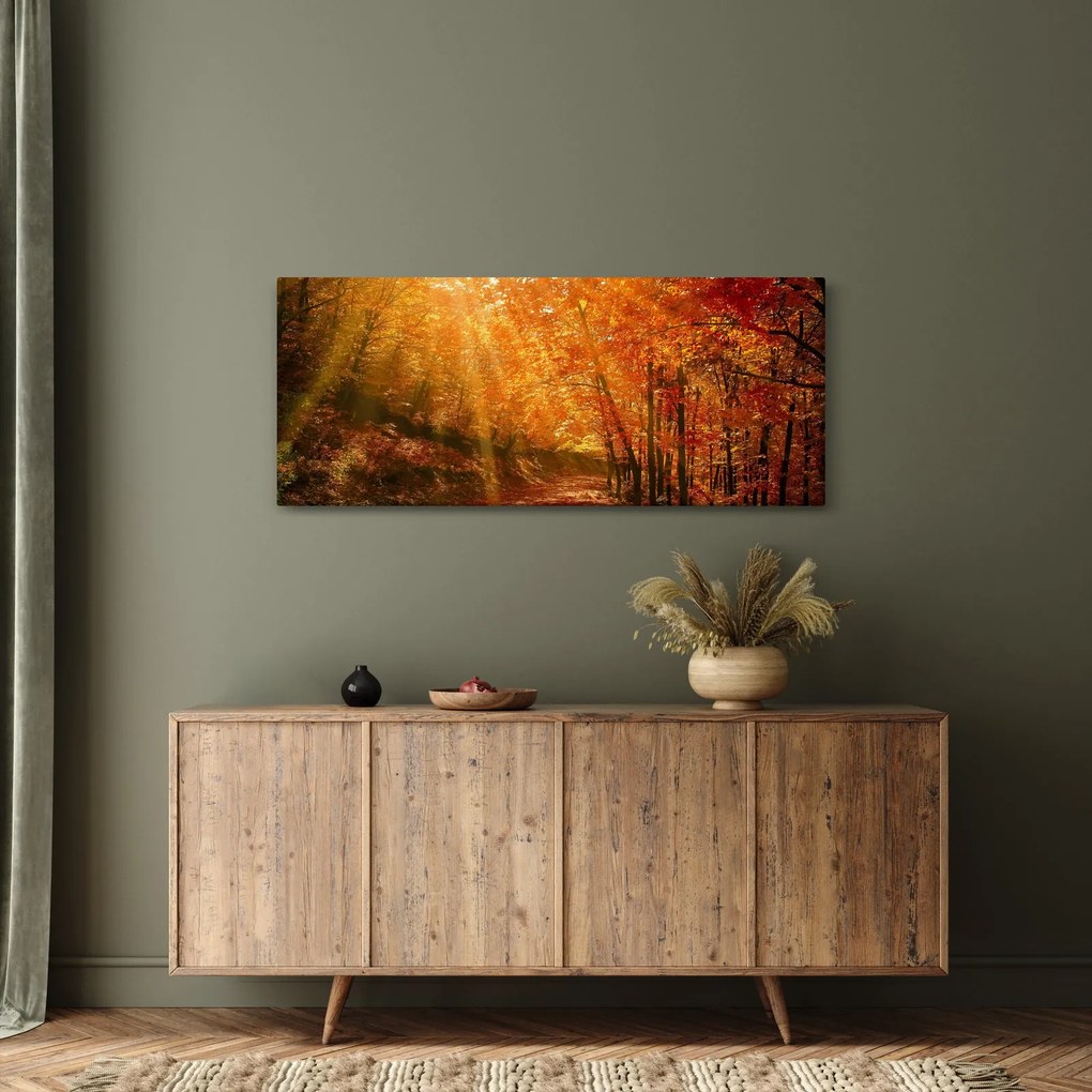 Obraz jesenného lesa (120x50 cm)