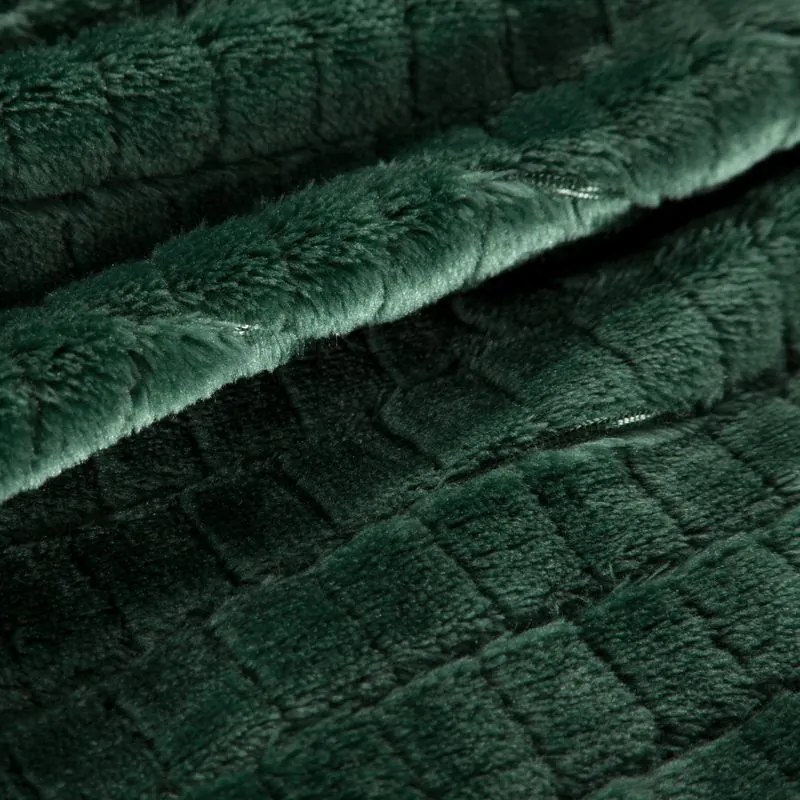 EUROFIRANY Nadýchaná a veľmi mäkká prikrývka z mikroflísu 170 cm x 210 cm tmavozelená 100 % polyester Varianta: 352563