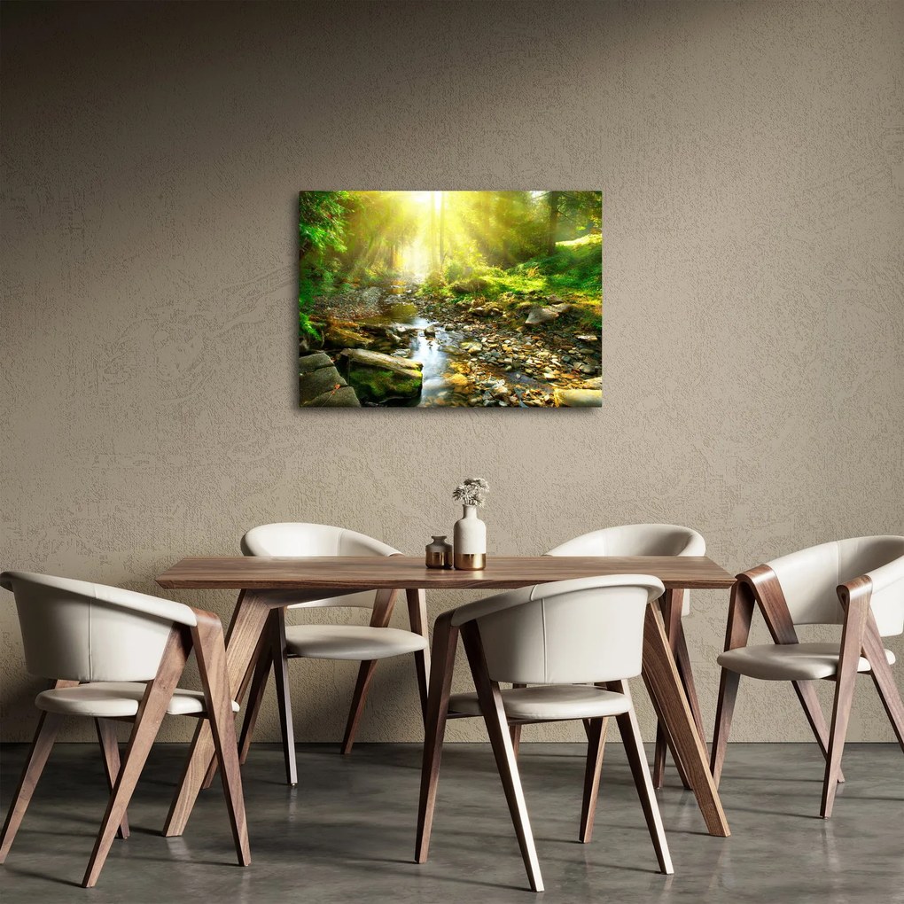 Obraz rieky v zelenom lese (70x50 cm)