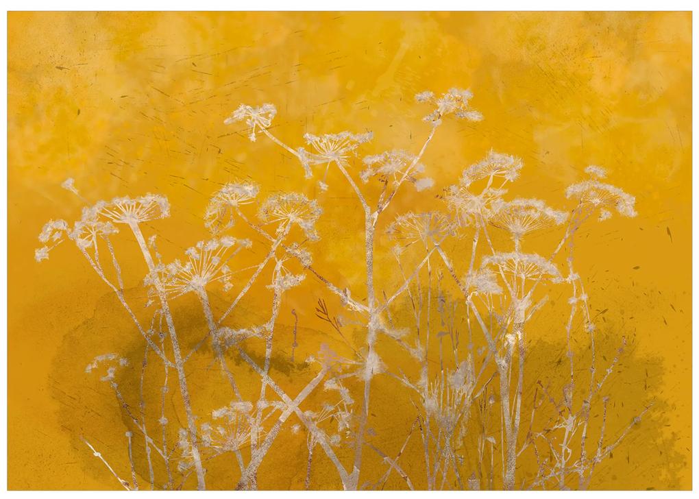 Artgeist Fototapeta - Meadow Bathed in the Sun Veľkosť: 100x70, Verzia: Premium