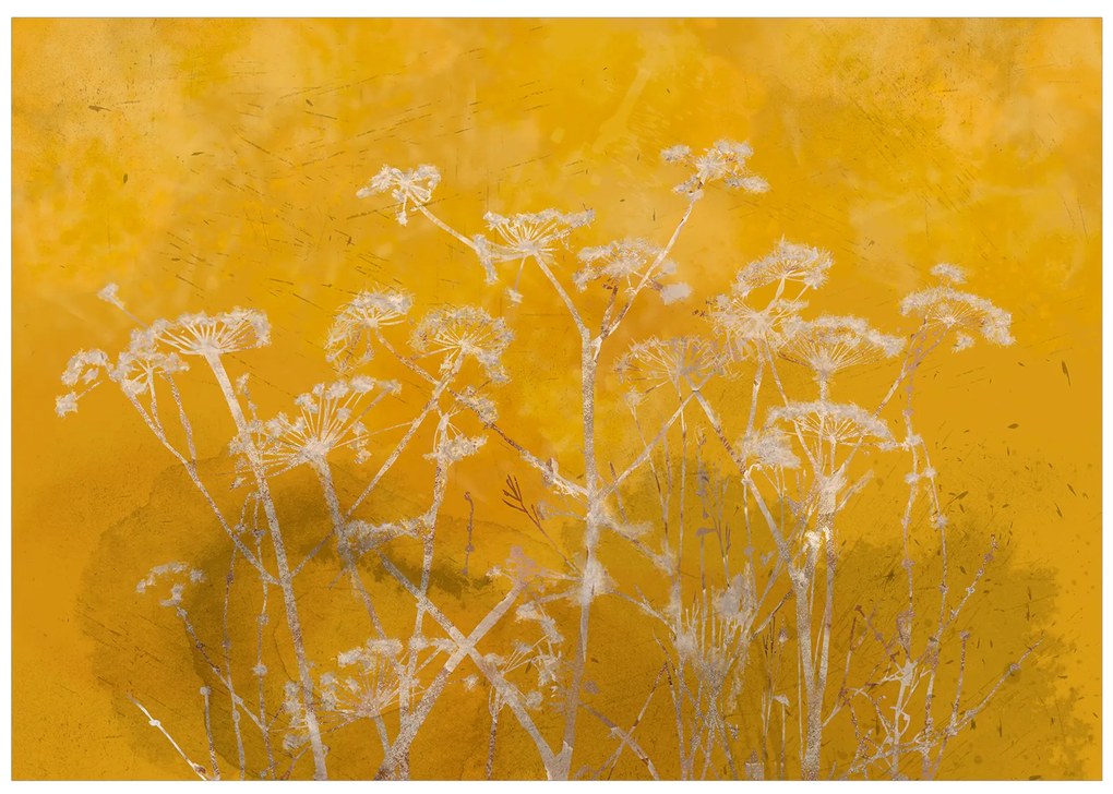 Artgeist Fototapeta - Meadow Bathed in the Sun Veľkosť: 200x140, Verzia: Premium