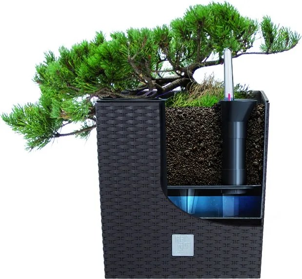 Kvetináč Rato Flat tmavohnedý