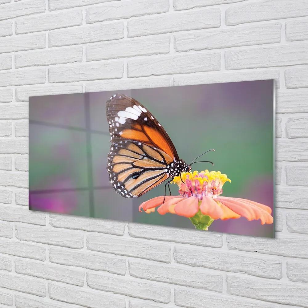 Sklenený obraz Farebný motýľ kvetina 120x60 cm