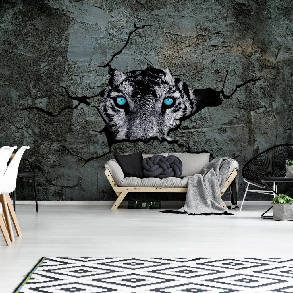 Fototapeta - Tiger s modrými očami (254x184 cm)