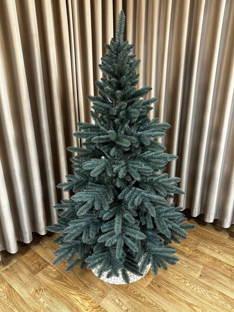 Jedlička strieborná 150cm