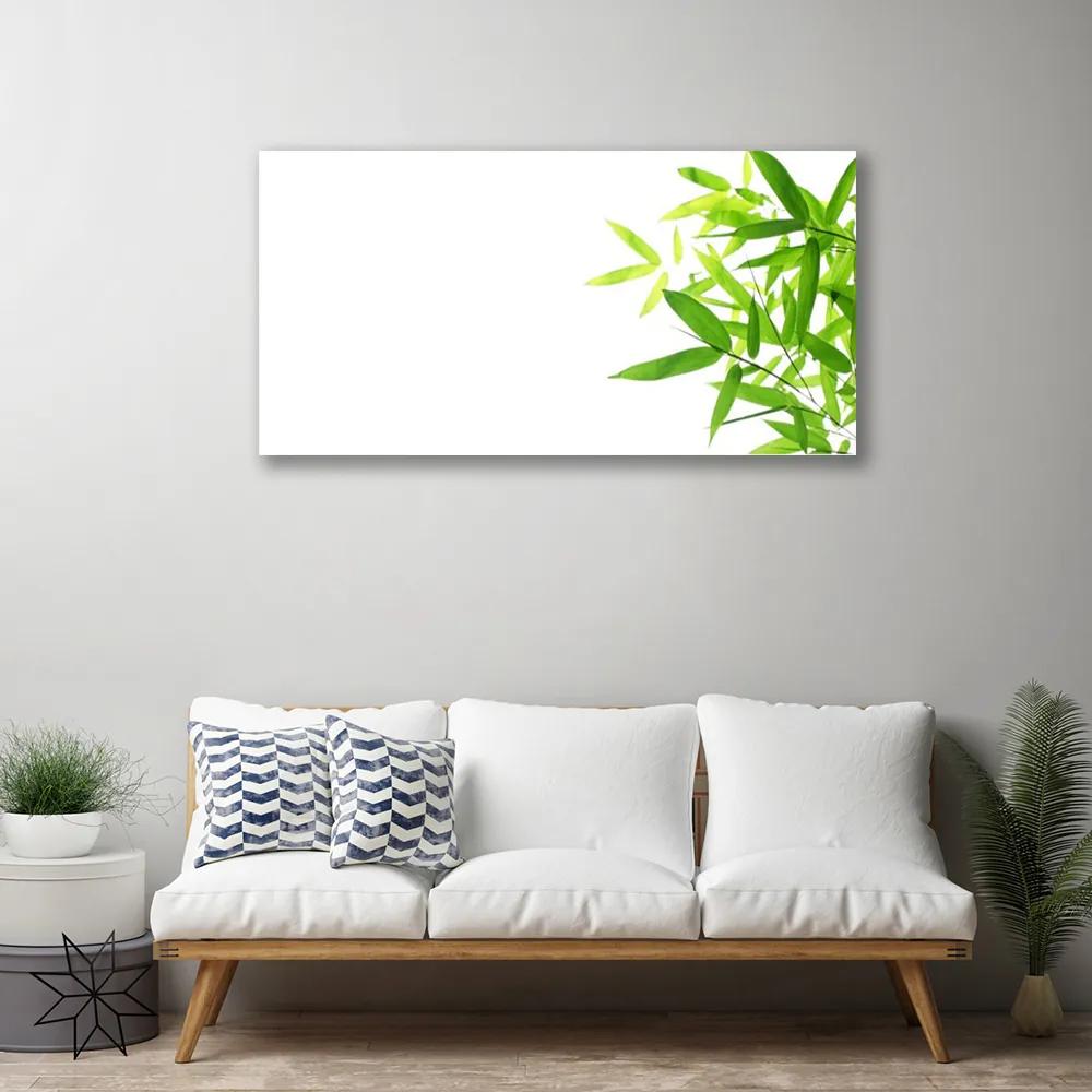 Obraz na plátne Listy príroda rastlina 125x50 cm