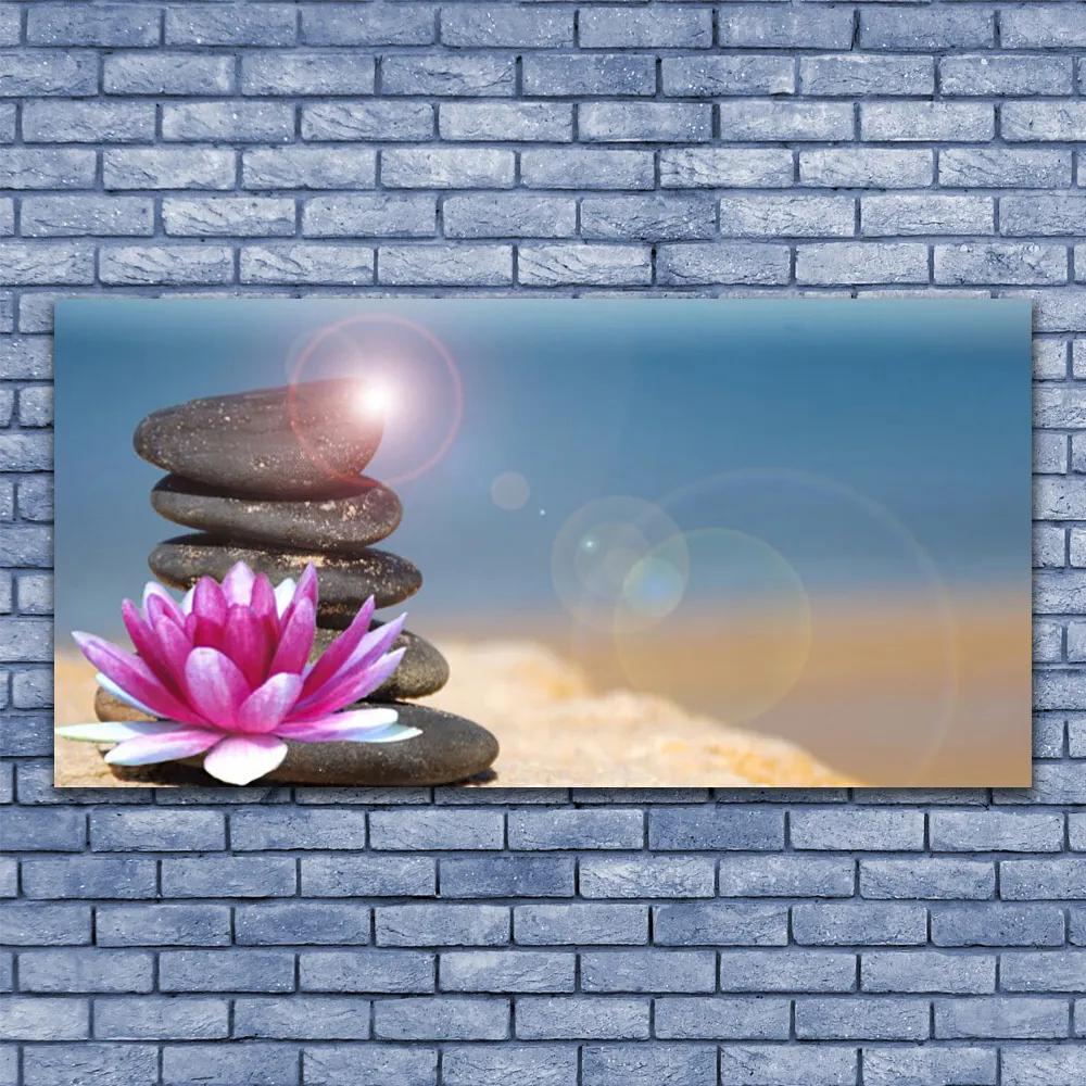 Obraz plexi Kamene kvet umenie 120x60 cm