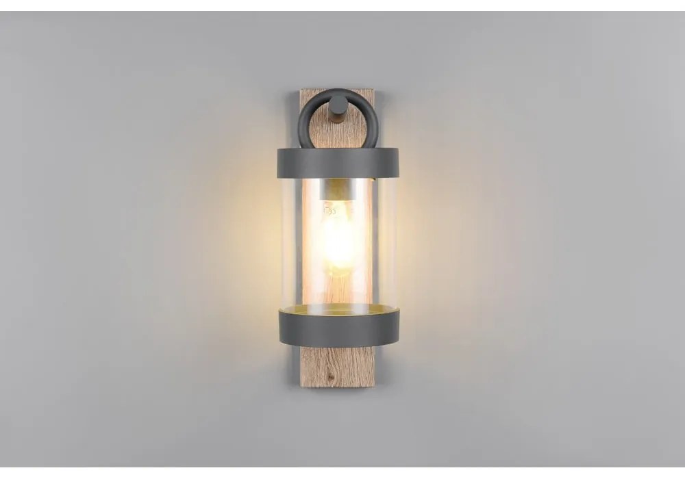 Nástenné vonkajšie svietidlo (výška 33 cm) Sambesi – Trio