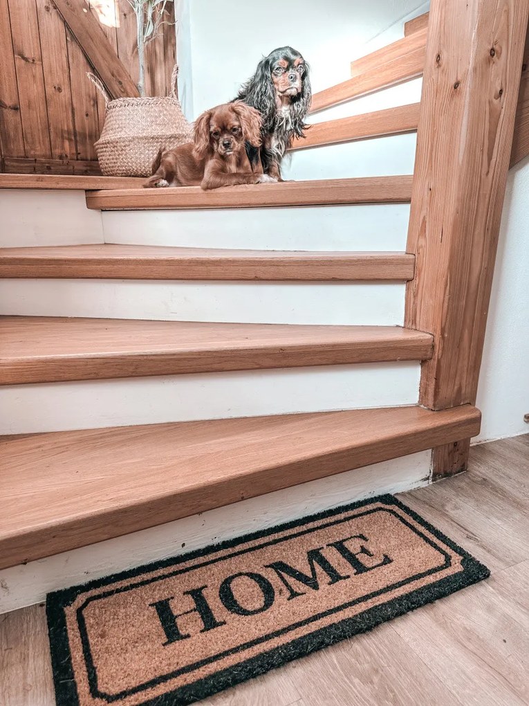 Hanse Home, Rohožka Home kokos 105678 – na von aj na doma, 27x70, hnedá, chodba / predsieň