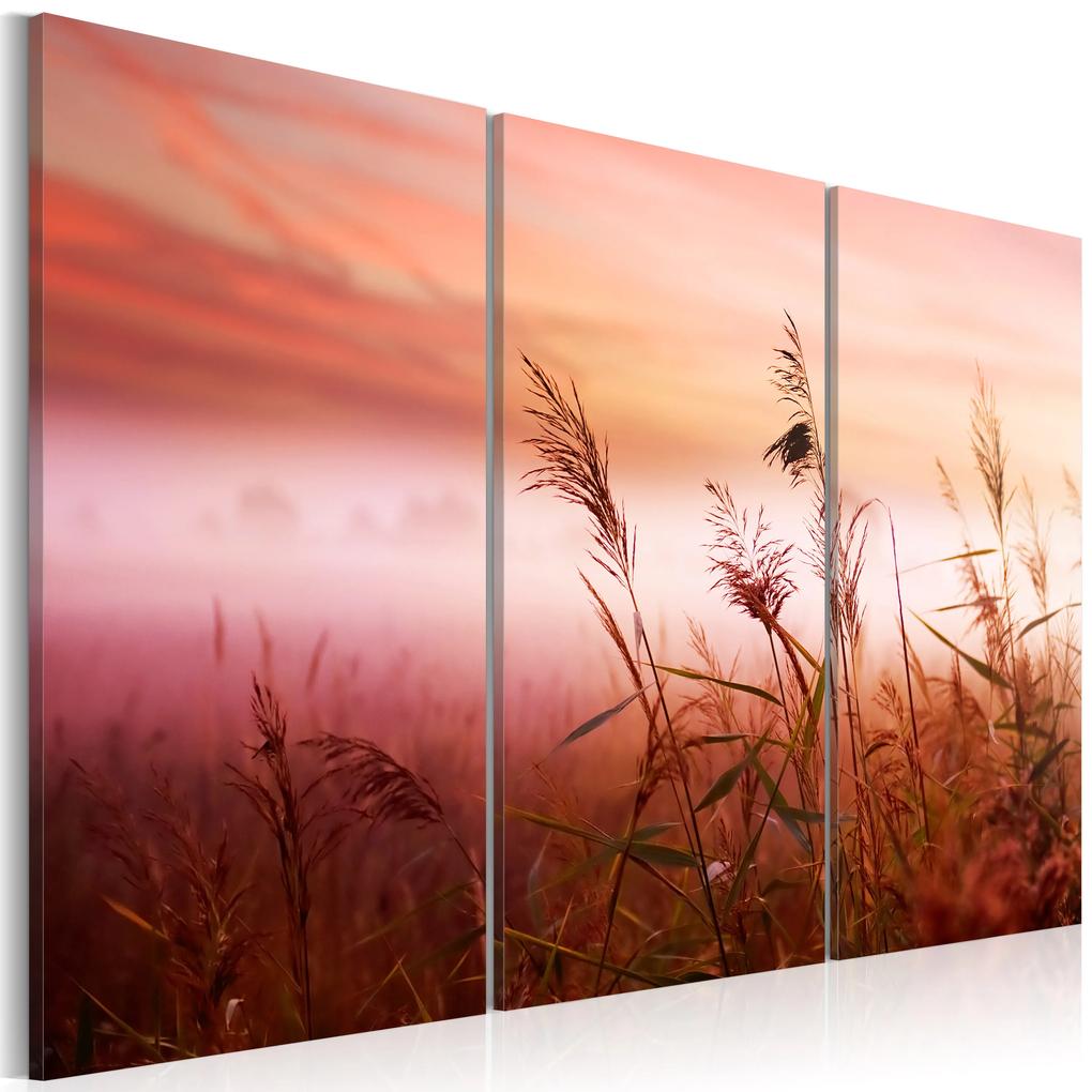 Artgeist Obraz - A silent meadow Veľkosť: 60x40, Verzia: Premium Print